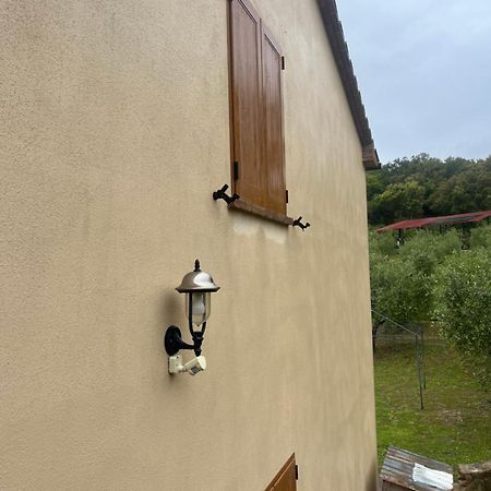 Agriturismo Il Sorbo Appartamento Menta Sticciano Εξωτερικό φωτογραφία